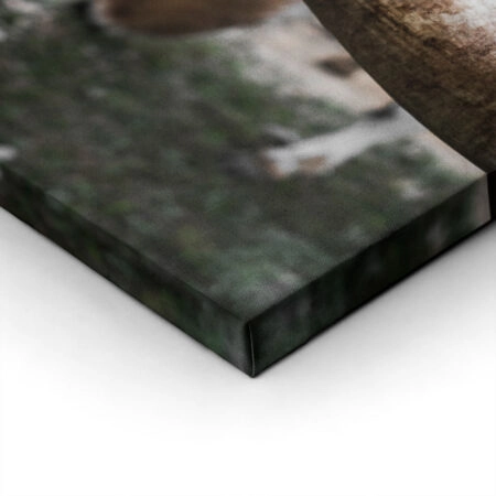 Πίνακας σε Καμβά RUSTIC FARMHOUSE COWS 9 -  Sticky 1