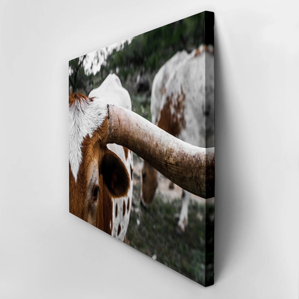 Πίνακας σε Καμβά RUSTIC FARMHOUSE COWS 9