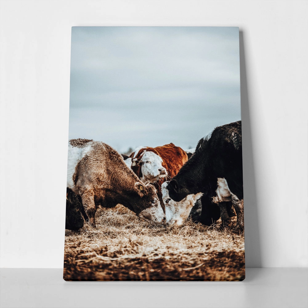 Πίνακας σε Καμβά RUSTIC FARMHOUSE COWS