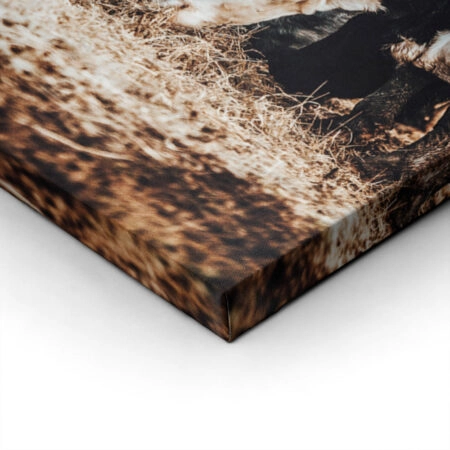 Πίνακας σε Καμβά RUSTIC FARMHOUSE COWS -  Sticky 1