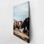 Πίνακας σε Καμβά RUSTIC FARMHOUSE COWS