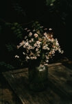 Πίνακας σε Καμβά RUSTIC FARMHOUSE DAISIES