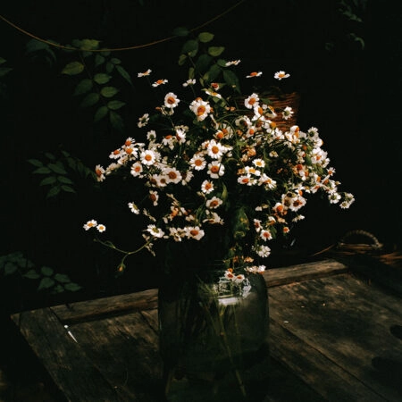 Πίνακας σε Καμβά RUSTIC FARMHOUSE DAISIES -  Sticky 5
