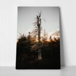 Πίνακας σε Καμβά RUSTIC FARMHOUSE DEAD TREE