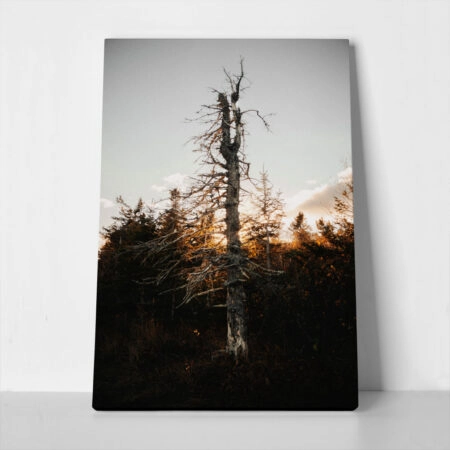 Πίνακας σε Καμβά RUSTIC FARMHOUSE DEAD TREE - 