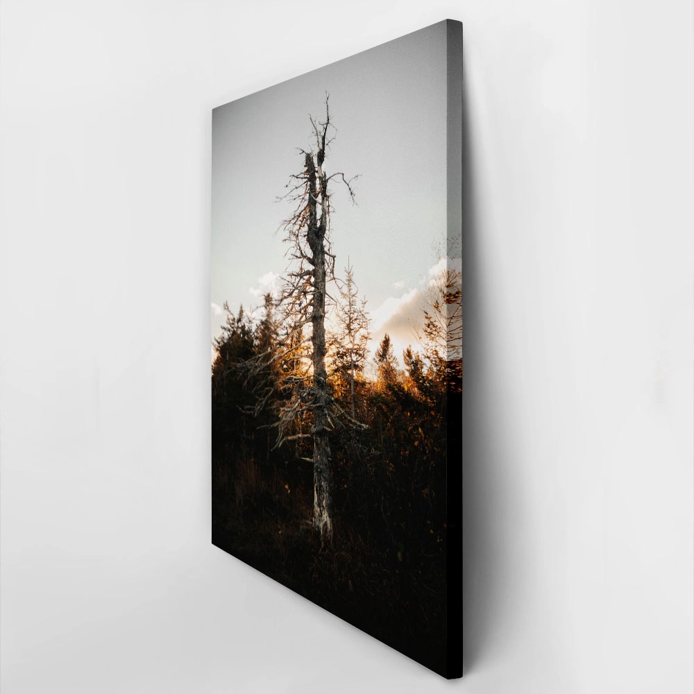 Πίνακας σε Καμβά RUSTIC FARMHOUSE DEAD TREE