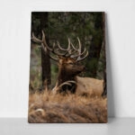 Πίνακας σε Καμβά RUSTIC FARMHOUSE DEER 2