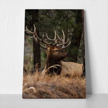 Πίνακας σε Καμβά RUSTIC FARMHOUSE DEER 2 - 