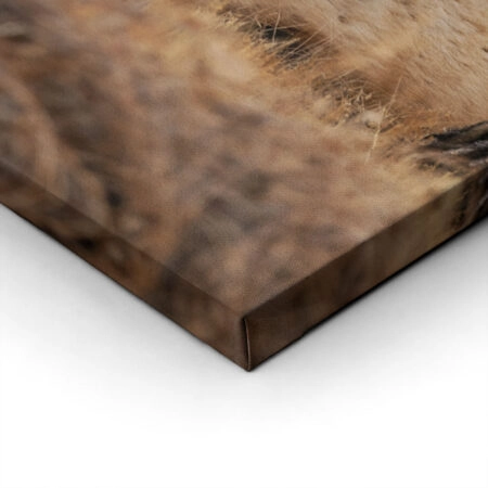 Πίνακας σε Καμβά RUSTIC FARMHOUSE DEER 2 -  Sticky 1