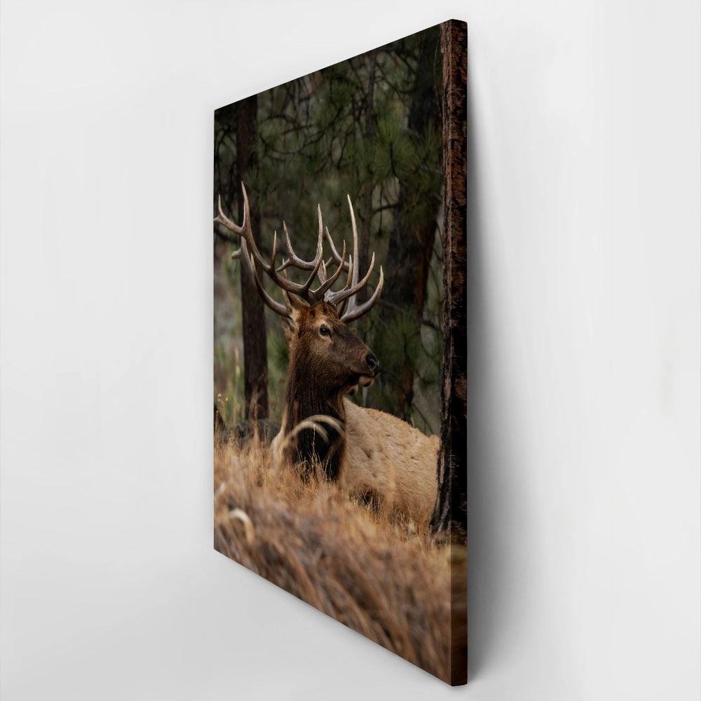 Πίνακας σε Καμβά RUSTIC FARMHOUSE DEER 2