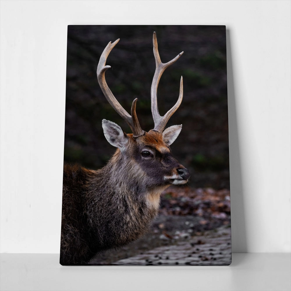 Πίνακας σε Καμβά RUSTIC FARMHOUSE DEER 3