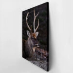 Πίνακας σε Καμβά RUSTIC FARMHOUSE DEER 3