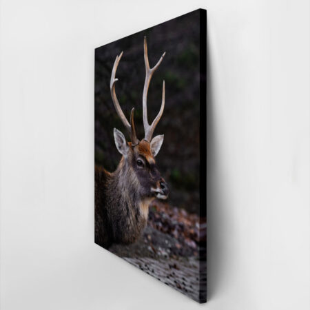 Πίνακας σε Καμβά RUSTIC FARMHOUSE DEER 3 -  Sticky 2