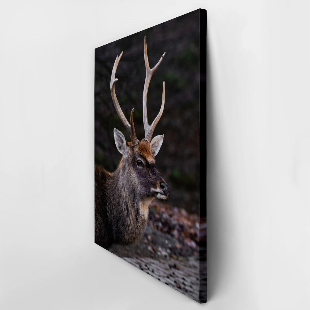 Πίνακας σε Καμβά RUSTIC FARMHOUSE DEER 3