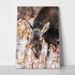 Πίνακας σε Καμβά RUSTIC FARMHOUSE DEER