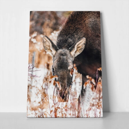 Πίνακας σε Καμβά RUSTIC FARMHOUSE DEER - 