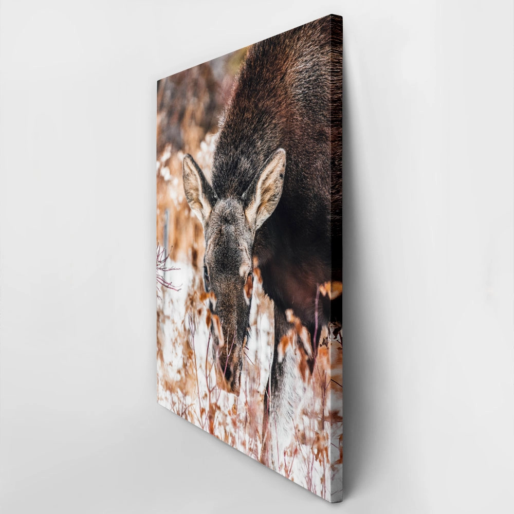 Πίνακας σε Καμβά RUSTIC FARMHOUSE DEER