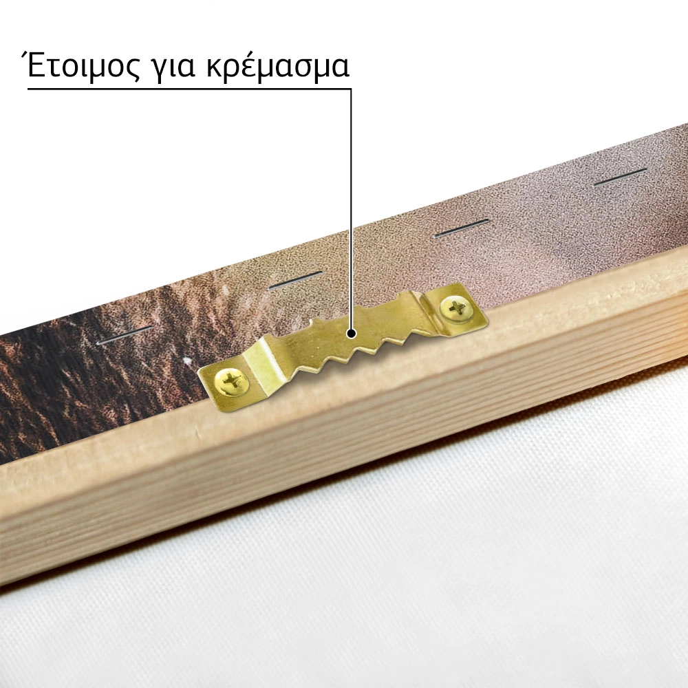 Πίνακας σε Καμβά RUSTIC FARMHOUSE DEER