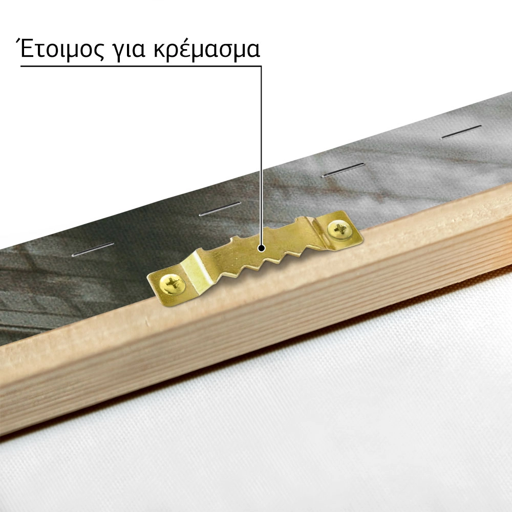 Πίνακας σε Καμβά RUSTIC FARMHOUSE DOOR 2