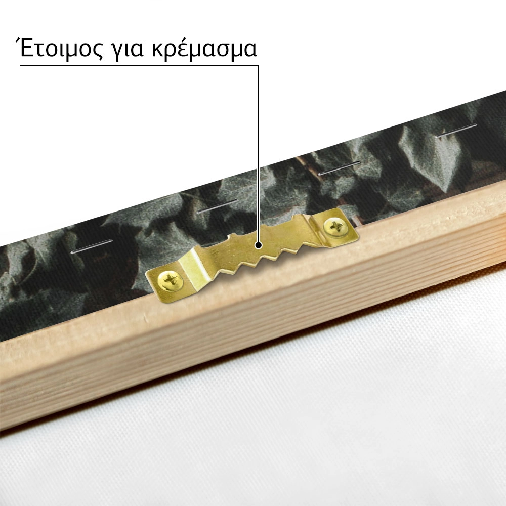 Πίνακας σε Καμβά RUSTIC FARMHOUSE DOOR 3