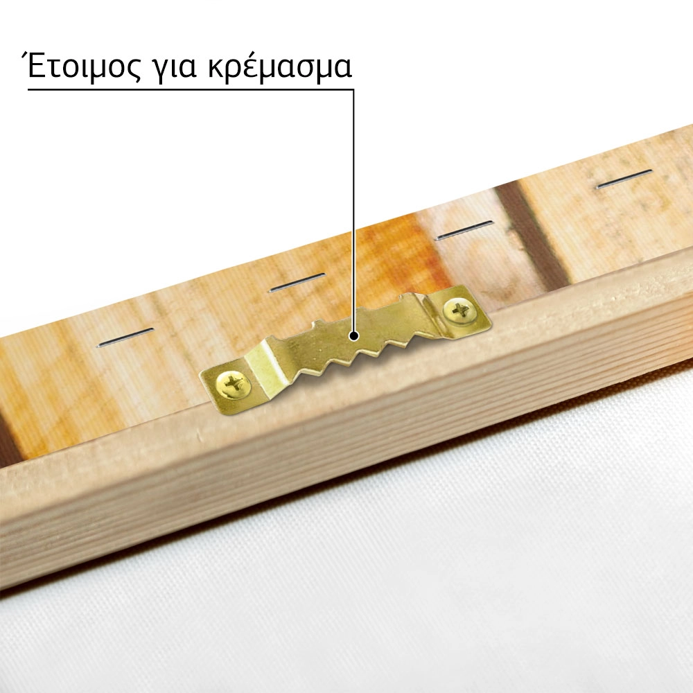 Πίνακας σε Καμβά RUSTIC FARMHOUSE DOOR 4