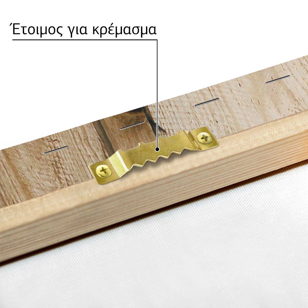 Πίνακας σε Καμβά RUSTIC FARMHOUSE DOOR 5