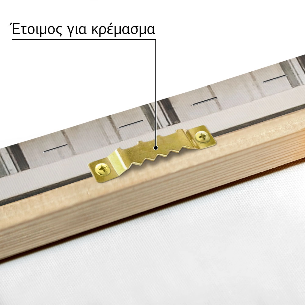 Πίνακας σε Καμβά RUSTIC FARMHOUSE DOOR 7