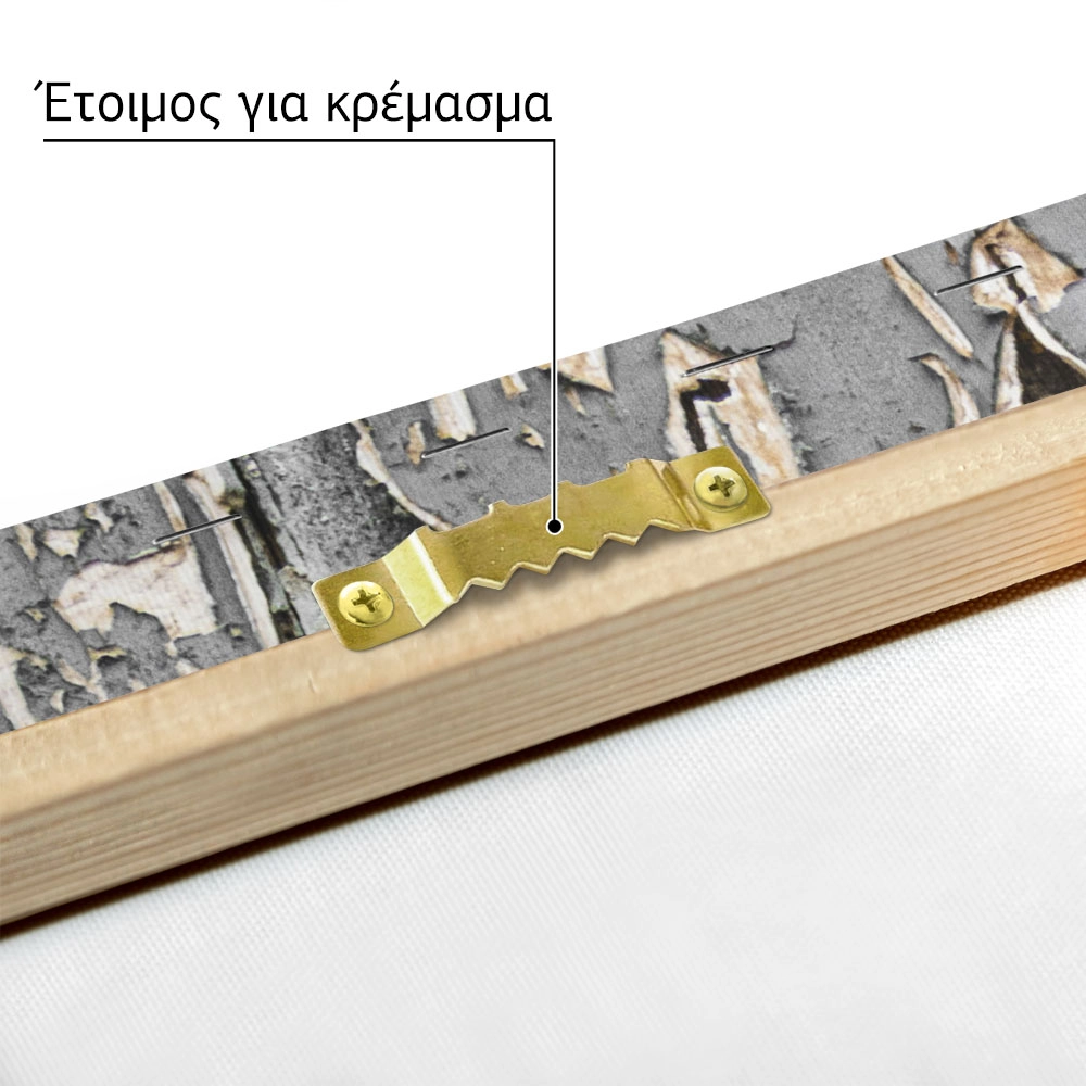 Πίνακας σε Καμβά RUSTIC FARMHOUSE DOOR KNOB