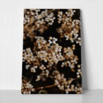 Πίνακας σε Καμβά RUSTIC FARMHOUSE DRIED FLOWERS 2