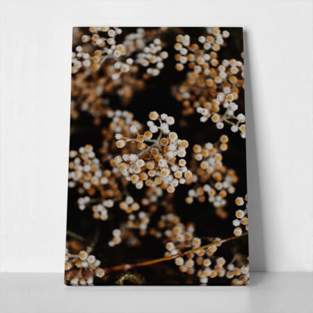 Πίνακας σε Καμβά RUSTIC FARMHOUSE DRIED FLOWERS 2 - 