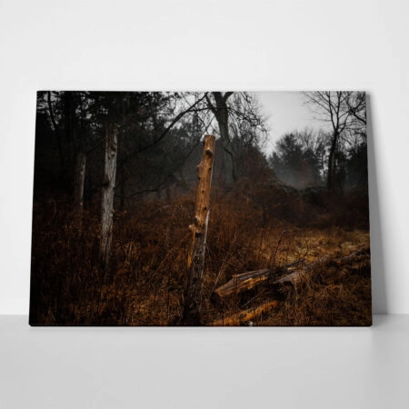 Πίνακας σε Καμβά RUSTIC FARMHOUSE DRIED FOREST - 