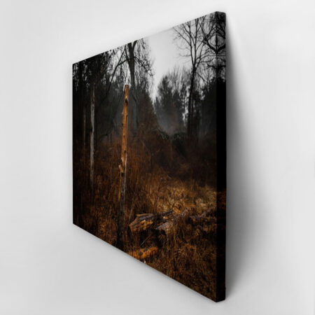 Πίνακας σε Καμβά RUSTIC FARMHOUSE DRIED FOREST -  Sticky 2