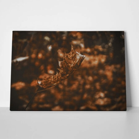 Πίνακας σε Καμβά RUSTIC FARMHOUSE DRIED LEAF - 