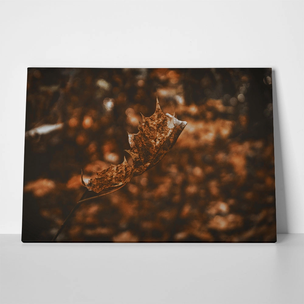Πίνακας σε Καμβά RUSTIC FARMHOUSE DRIED LEAF