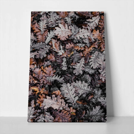 Πίνακας σε Καμβά RUSTIC FARMHOUSE DRIED LEAVES 3 - 