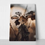 Πίνακας σε Καμβά RUSTIC FARMHOUSE DRIED LEAVES 5
