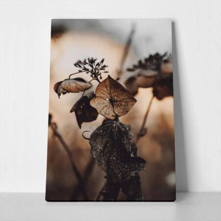 Πίνακας σε Καμβά RUSTIC FARMHOUSE DRIED LEAVES 5 - 