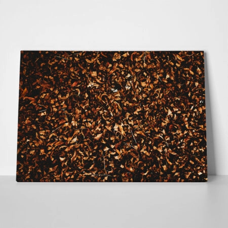 Πίνακας σε Καμβά RUSTIC FARMHOUSE DRIED LEAVES 8 - 