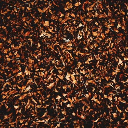 Πίνακας σε Καμβά RUSTIC FARMHOUSE DRIED LEAVES 8 -  Sticky 5