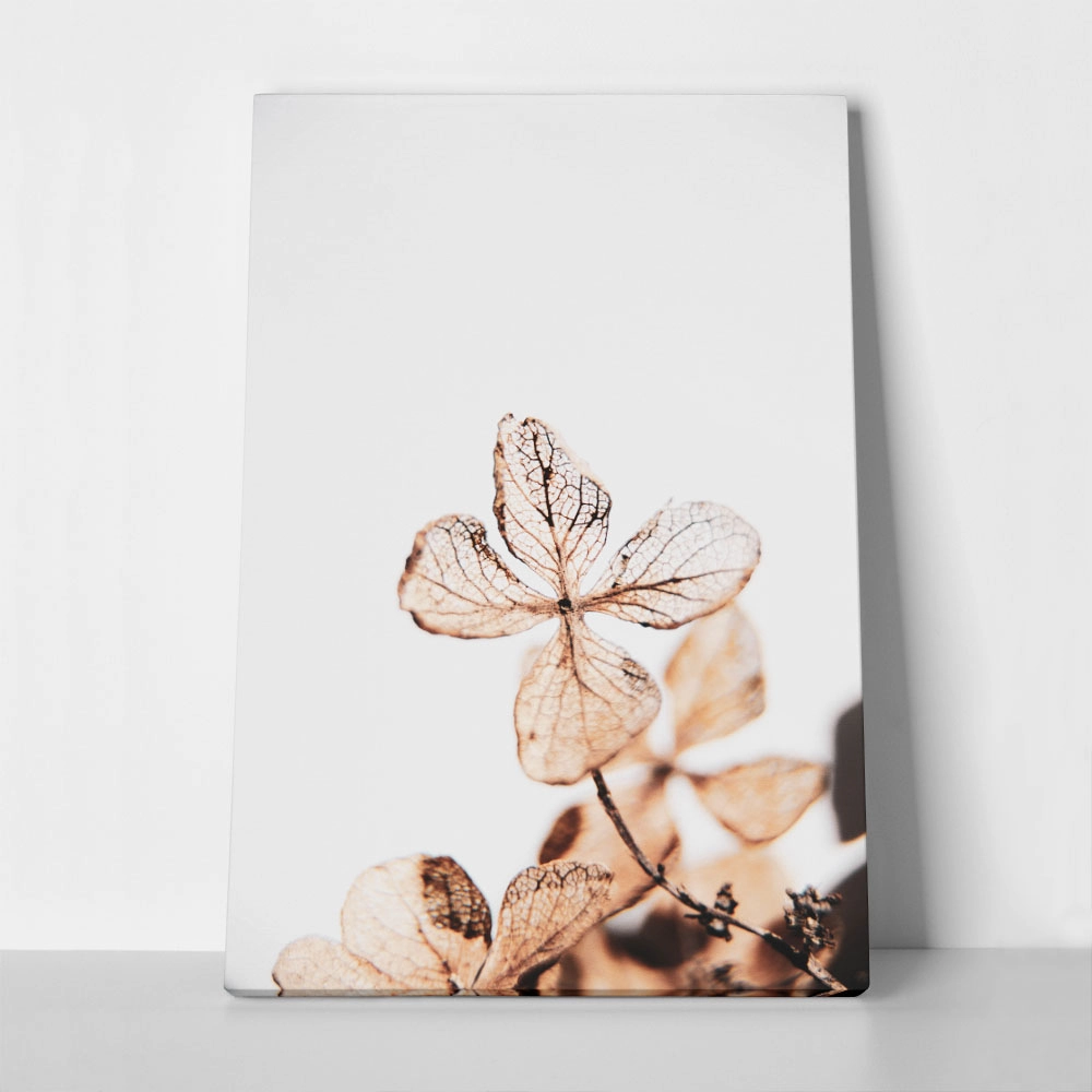 Πίνακας σε Καμβά RUSTIC FARMHOUSE DRIED LEAVES