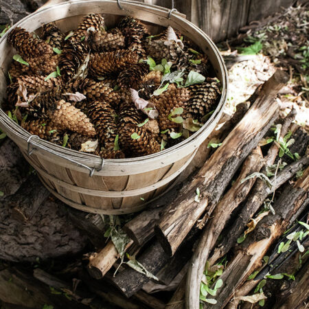 Πίνακας σε Καμβά RUSTIC FARMHOUSE DRIED WOOD -  Sticky 5