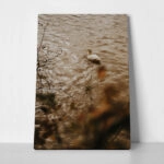Πίνακας σε Καμβά RUSTIC FARMHOUSE DUCK