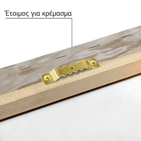 Πίνακας σε Καμβά RUSTIC FARMHOUSE DUCK -  Sticky 4