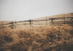 Πίνακας σε Καμβά RUSTIC FARMHOUSE FENCE 2