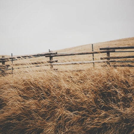 Πίνακας σε Καμβά RUSTIC FARMHOUSE FENCE 2 -  Sticky 5