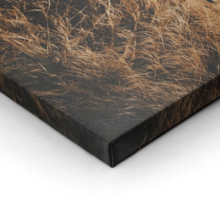 Πίνακας σε Καμβά RUSTIC FARMHOUSE FENCE 2 -  Sticky 1