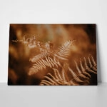 Πίνακας σε Καμβά RUSTIC FARMHOUSE FERN