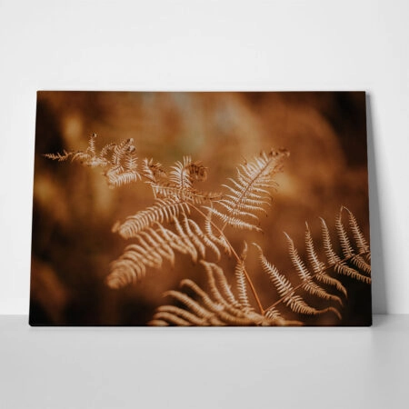 Πίνακας σε Καμβά RUSTIC FARMHOUSE FERN - 