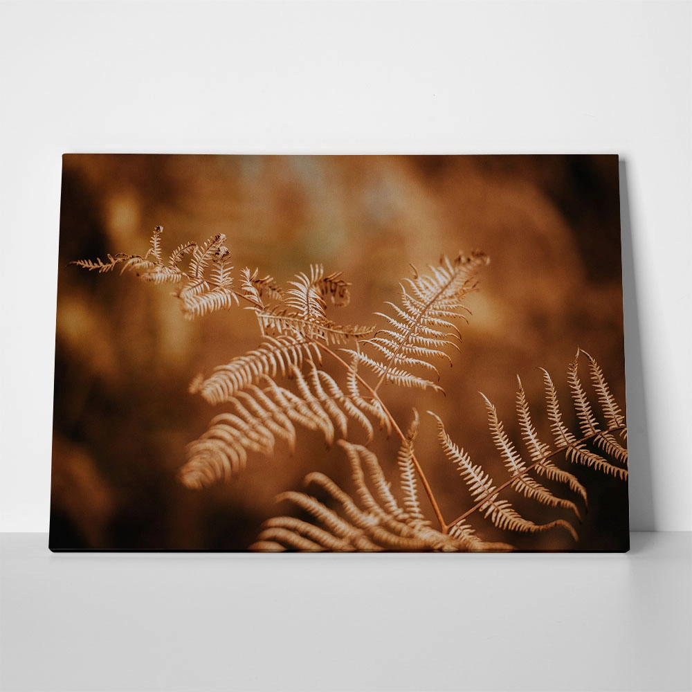 Πίνακας σε Καμβά RUSTIC FARMHOUSE FERN
