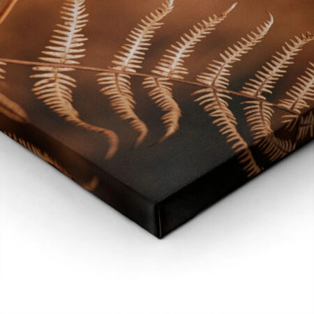 Πίνακας σε Καμβά RUSTIC FARMHOUSE FERN -  Sticky 1